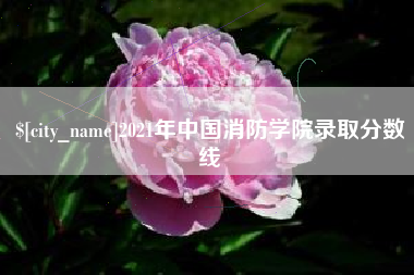 沙洋2021年中国消防学院录取分数线