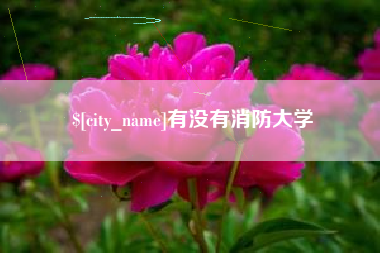 沙洋有没有消防大学