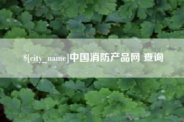 沙洋中国消防产品网 查询