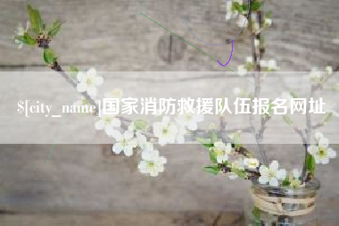 沙洋国家消防救援队伍报名网址