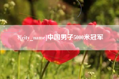 沙洋中国男子5000米冠军