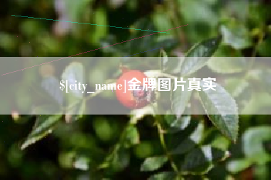沙洋金牌图片真实