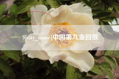 沙洋中国第九金回放