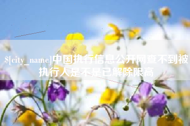 沙洋中国执行信息公开网查不到被执行人是不是已解除限高
