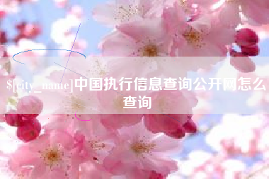 沙洋中国执行信息查询公开网怎么查询