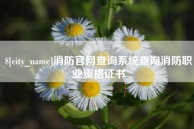沙洋消防官网查询系统查询消防职业资格证书