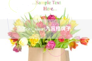 沙洋九宫格牌子