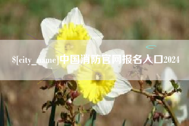 沙洋中国消防官网报名入口2024