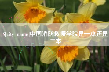 沙洋中国消防救援学院是一本还是二本