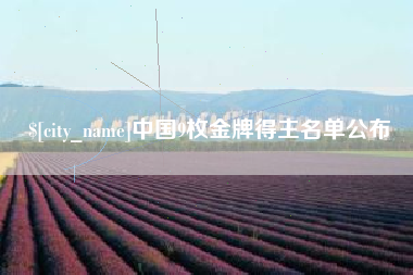 沙洋中国9枚金牌得主名单公布