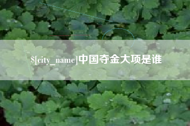 沙洋中国夺金大项是谁