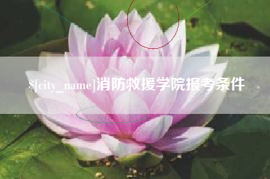 沙洋消防救援学院报考条件