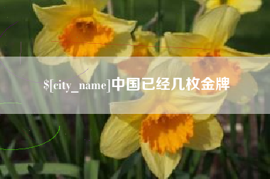 沙洋中国已经几枚金牌
