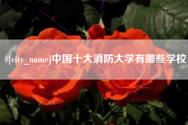 沙洋中国十大消防大学有哪些学校