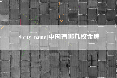 沙洋中国有哪几枚金牌