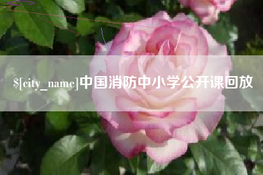 沙洋中国消防中小学公开课回放