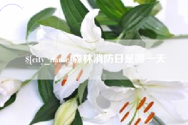 沙洋森林消防日是哪一天