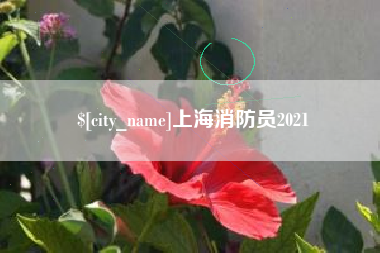 沙洋上海消防员2021