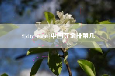 沙洋中国夺金排第几