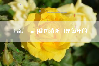 沙洋我国消防日是每年的