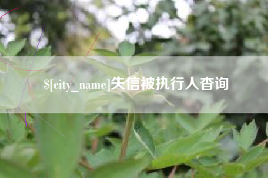 沙洋失信被执行人杳询