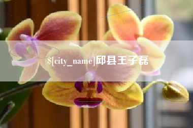沙洋邱县王子磊