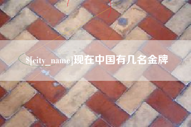 沙洋现在中国有几名金牌