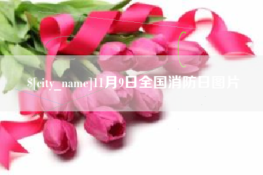 沙洋11月9日全国消防日图片