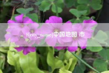 沙洋中国地图 市