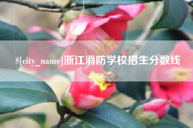 沙洋浙江消防学校招生分数线