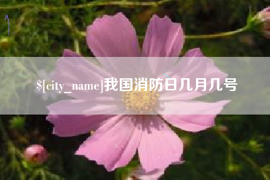 沙洋我国消防日几月几号