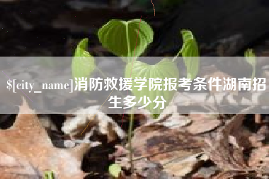 沙洋消防救援学院报考条件湖南招生多少分