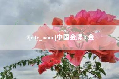 沙洋中国金牌18金