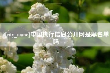 沙洋中国执行信息公开网是黑名单吗