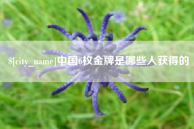 沙洋中国6枚金牌是哪些人获得的