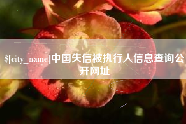 沙洋中国失信被执行人信息查询公开网址