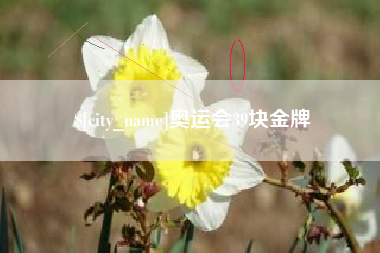 沙洋奥运会39块金牌