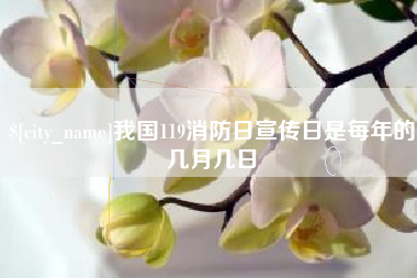 沙洋我国119消防日宣传日是每年的几月几日