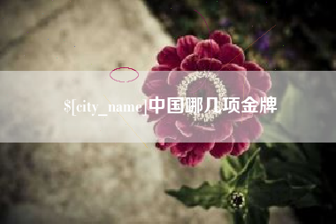 沙洋中国哪几项金牌