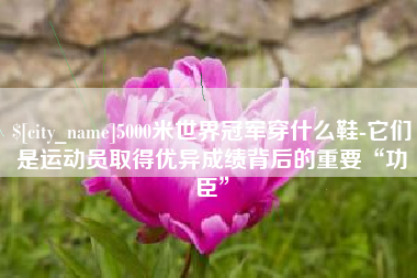 沙洋5000米世界冠军穿什么鞋-它们是运动员取得优异成绩背后的重要“功臣”