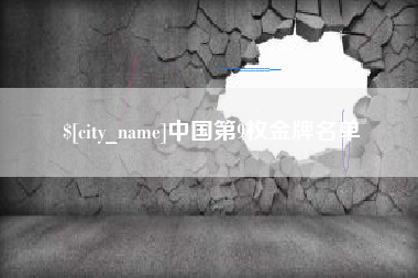沙洋中国第9枚金牌名单