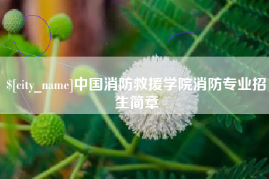 沙洋中国消防救援学院消防专业招生简章