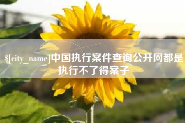 沙洋中国执行案件查询公开网都是执行不了得案子