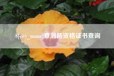 沙洋查消防资格证书查询