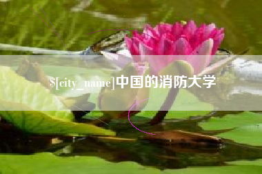 沙洋中国的消防大学