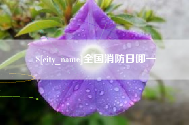 沙洋全国消防日哪一