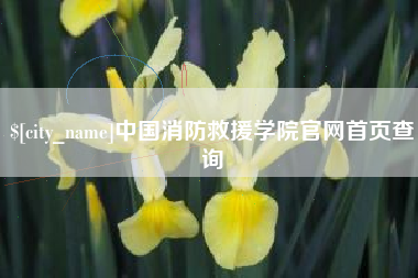 沙洋中国消防救援学院官网首页查询