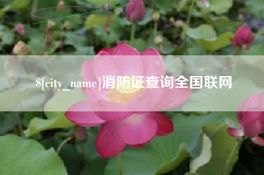 沙洋消防证查询全国联网