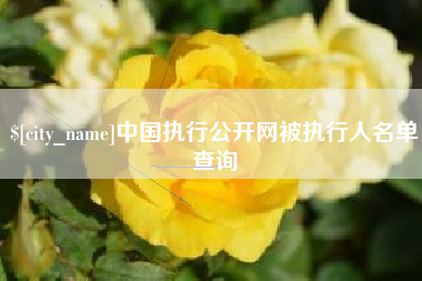 沙洋中国执行公开网被执行人名单查询