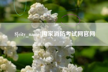 沙洋国家消防考试网官网